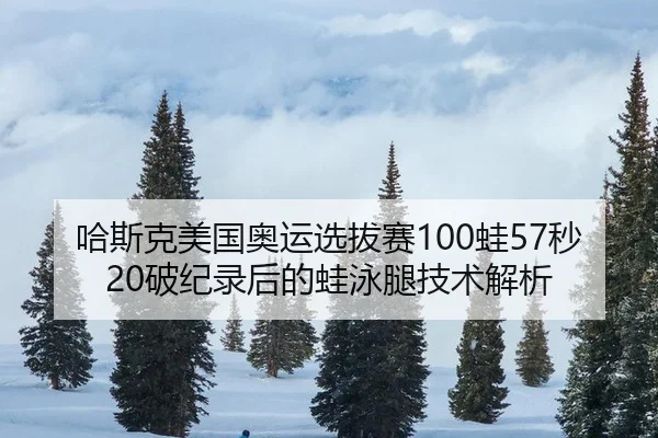 ha-si-ke-mei-guo-ao-yun-xuan-ba-sai-wa-miao-po-ji-lu-hou-de-wa-yong-tui-ji-shu-jie-xi-2-569.jpg